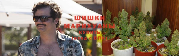 спиды Аркадак